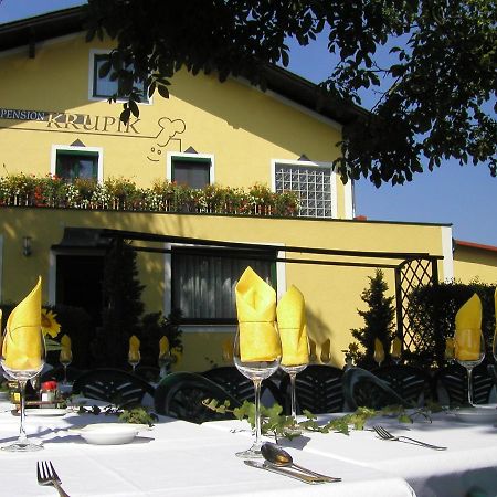 Gasthof Pension Renate Krupik Steinbach  Экстерьер фото